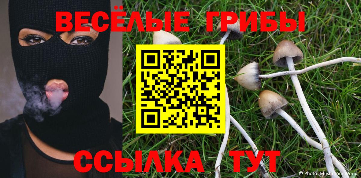 Псилоцибиновые грибы Cubensis Балаково