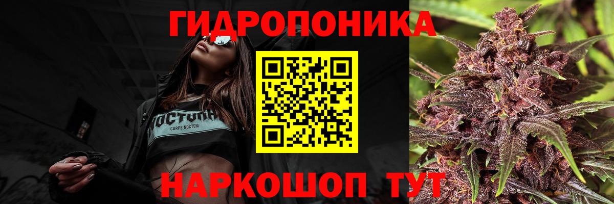 Канабис MAZAR  Вход с VPN  Канабис Bruce Banner  Балаково  Бошки Шишки индика 